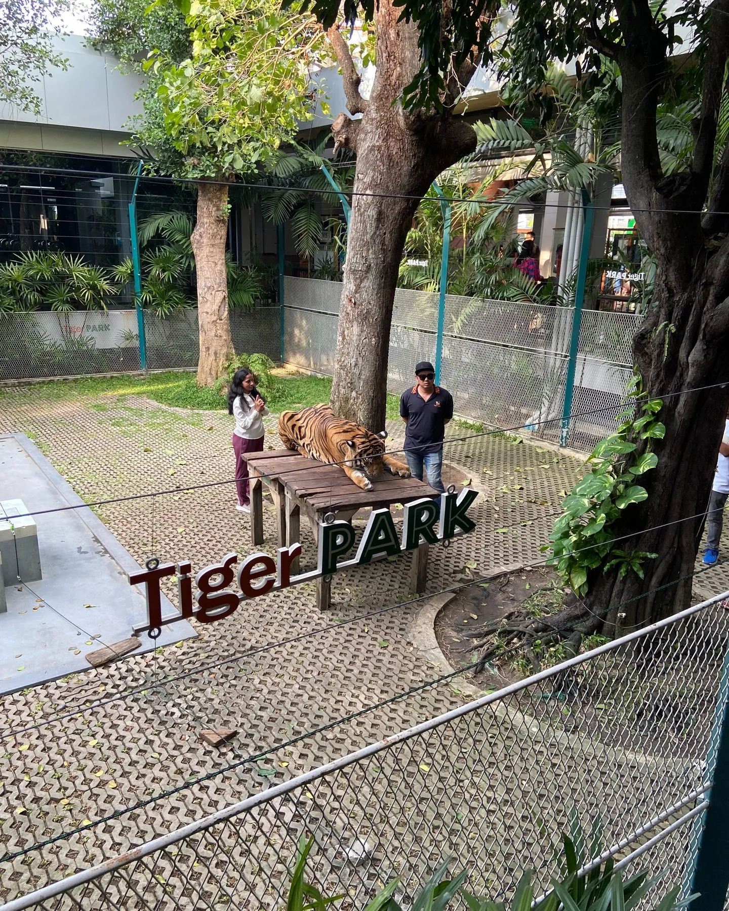 先週、私は3泊4日でタイへの旅行を楽しんできました。