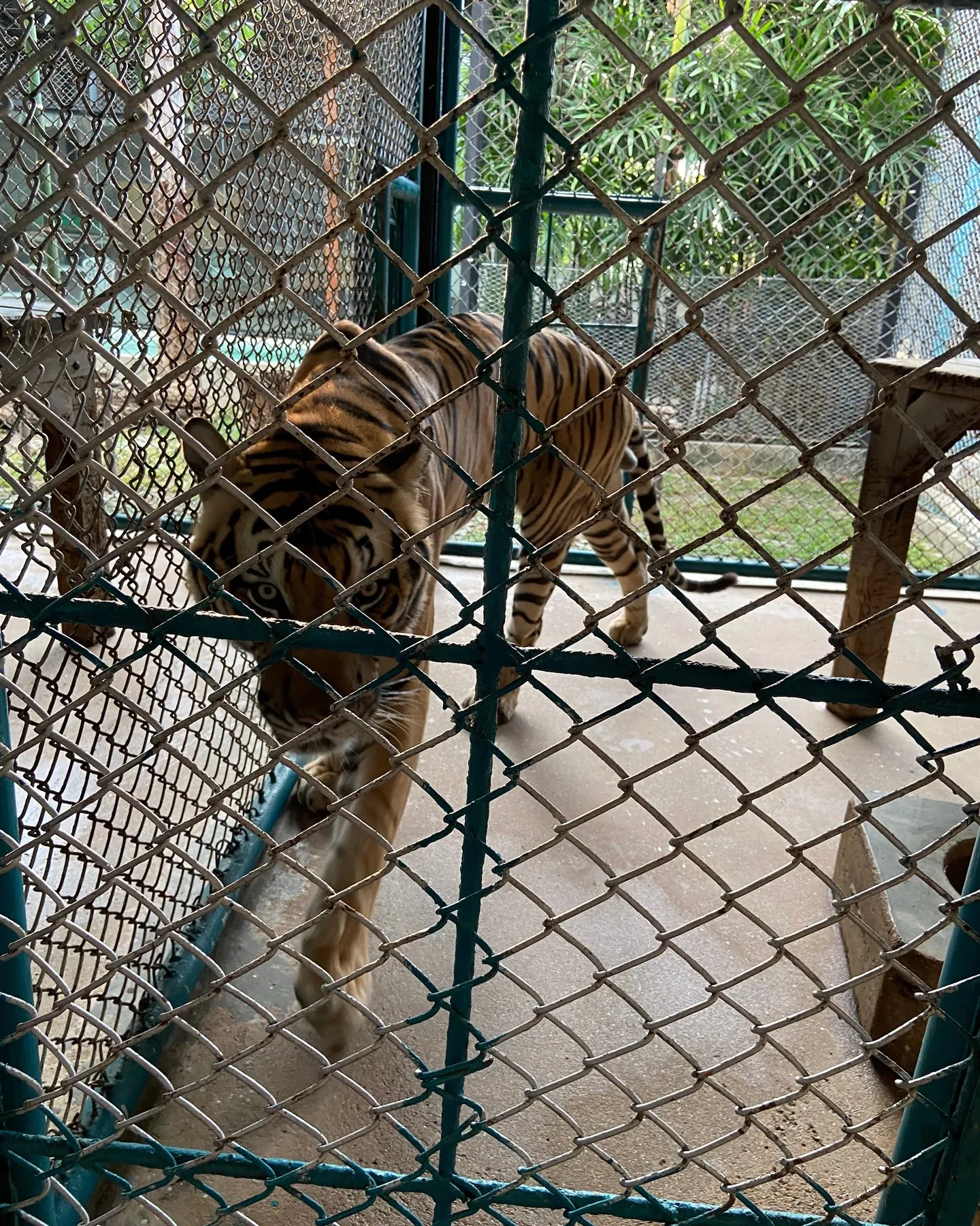 先週、私は3泊4日でタイへの旅行を楽しんできました。